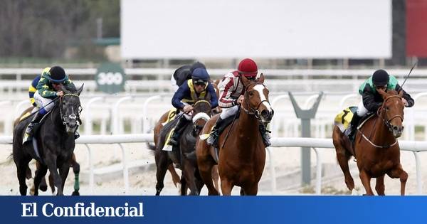 El Hipódromo de la Zarzuela vuelve el 3 de septiembre con la temporada de otoño: premios, nombres destacados y fechas clave