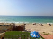 Six students 'drown on school trip to beach' in Egypt after 'struggling in water' as dozens more injured