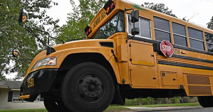 2 kids, 1 adult injured in school bus crash near Chef Menteur Highway, NOPD says