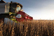 Negocios del Campo. Llega una nueva edición de un clásico del sector agropecuario