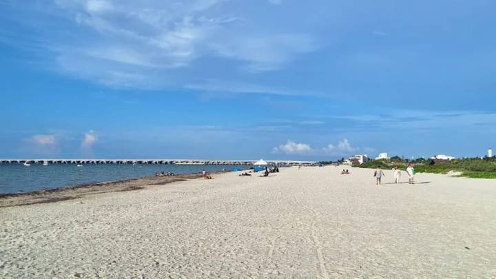 Marea roja frena a 21% de los pescadores en Yucatán
