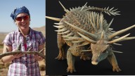 Científicos descubren un "extraño" dinosaurio cubierto de una armadura de púas