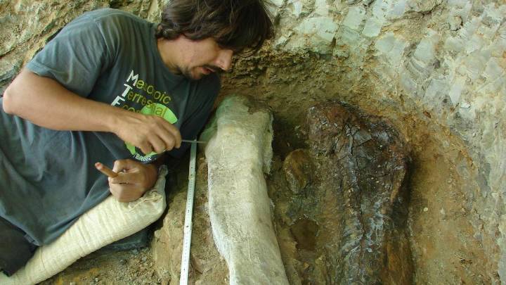 La herencia de los 'dinosaurios valencianos'
