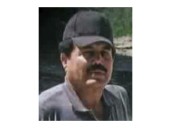 Former Sinaloa cartel kingpin El Mayo set to plead guilty