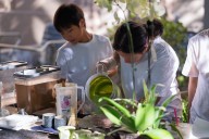 Incubator program grows the next crop of businesses in San Jose’s thriving food scene