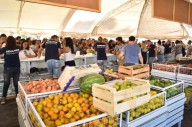 Los precios de este sábado en el Mercado Municipal