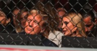 Trump Lures Ivanka Back With … a White House UFC Fight?
