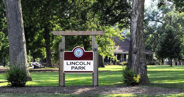 Danville City Council approves security cameras for all city parks