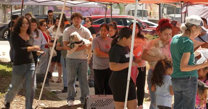 C.A.R.E.4Paws hosts free spay and neuter clinic for local families