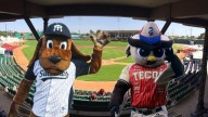 Tecos vs. Sultanes: hoy arrancan las Semifinales del Norte; ¿dónde y a qué hora es el Juego 1?