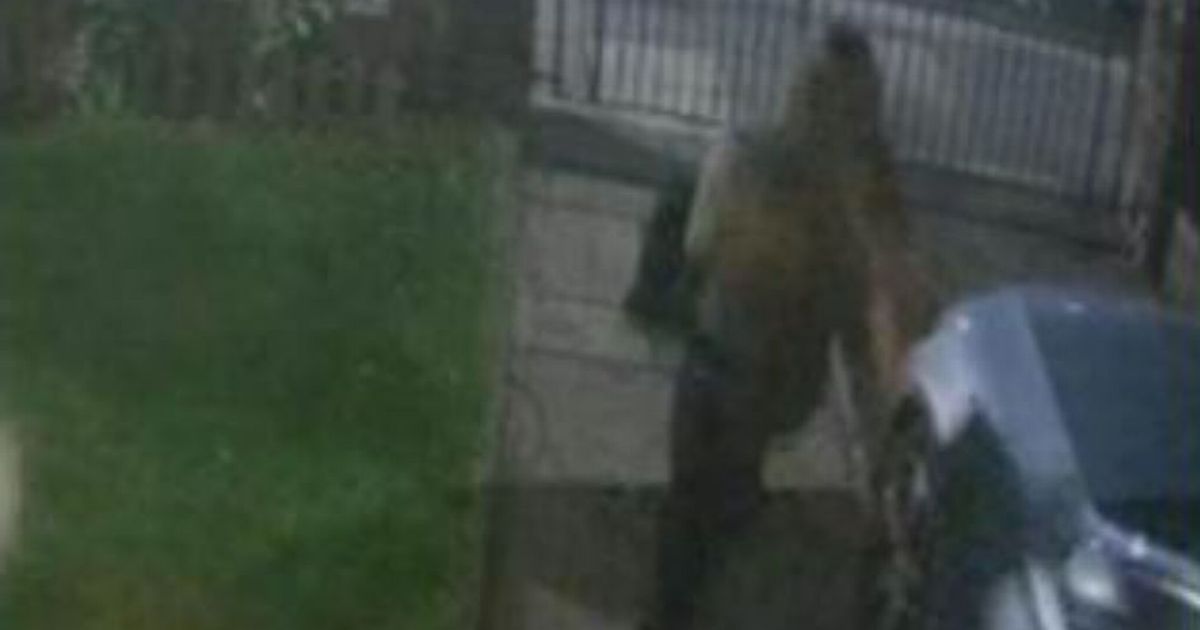 Images released after girl goes missing overnight as concerns grow