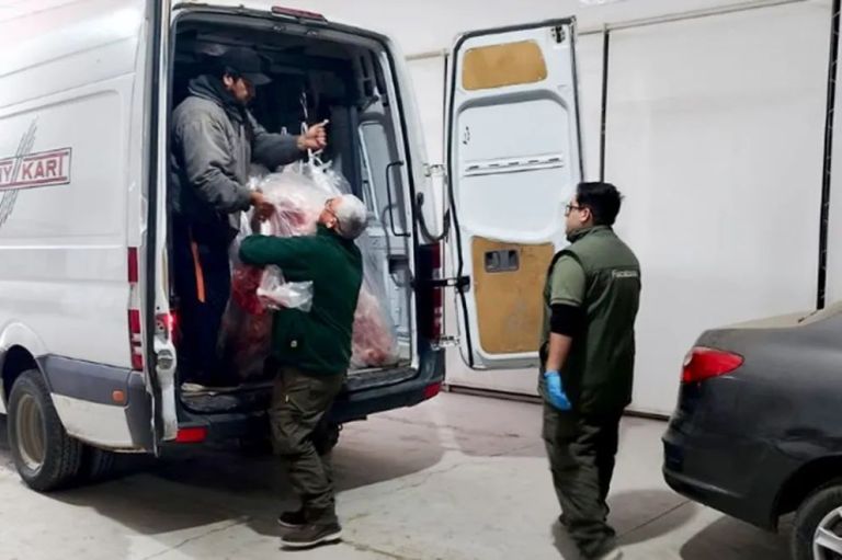 Incautaron más de 890 kilos de carne vacuna sin condiciones sanitarias