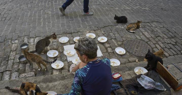 Cubanos hacen malabares para dar comida y refugio a animales callejeros en medio de la crisis