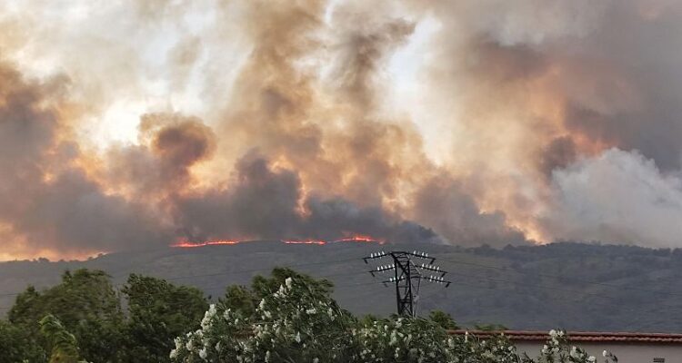 España en alerta máxima por incendios forestales: El Gobierno anuncia medidas de apoyo