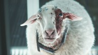 'Alien: Earth' Boss Noah Hawley on That Creepy Eye