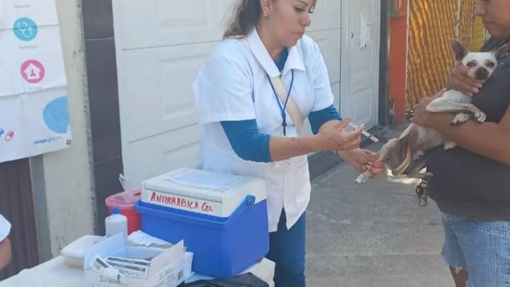 Semana de Vacunación Antirrábica: aplicarán 900 mil dosis contra la rabia en Guanajuato
