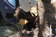 ¿Cuáles son los avances de la jornada en la Sierra de Guadalupe? Esto informa la Comisión de B...