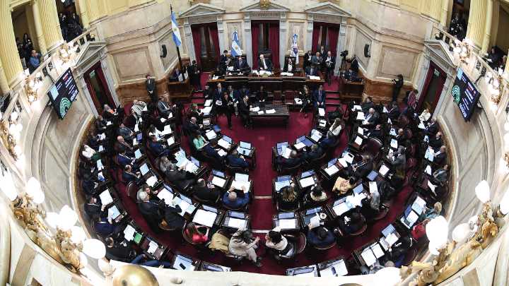 Senado: la oposición consiguió dictamen para el financiamiento universitario y la emergencia del Garrahan