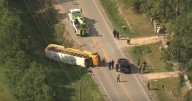 Horror as nine children injured after school bus rolls over in violent crash on rural road