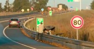 British family all killed in Portugal as horror rental car crash claims 6 lives