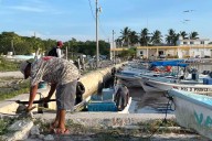 Crisis del pulpo en Yucatán: pescadores del litoral Oriente denuncian sobreexplotación y pesca furtiva