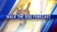 Walk The Dog Forecast August 29, 2025
