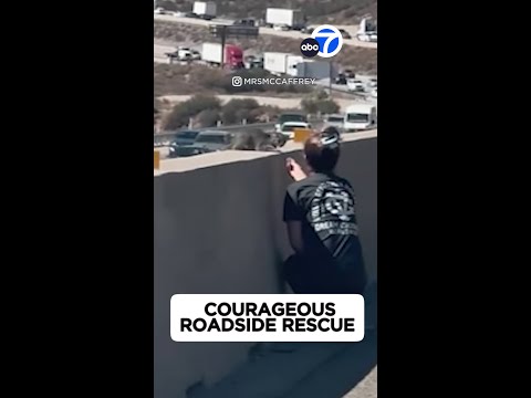 Courageous roadside rescue
