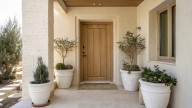 Ni se te ocurra tener esta planta cerca de la entrada de casa: impide que entre la buena suerte, según el Feng Shui