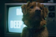 ‘Good Boy’: Watch the Trailer for the Dog POV Horror Movie