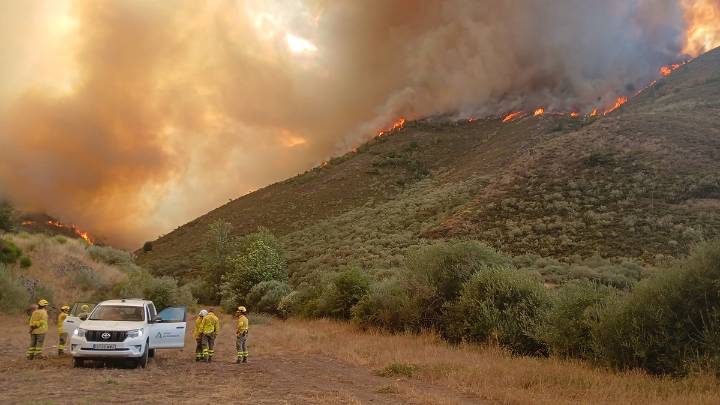 Incendios: acción política y agilidad