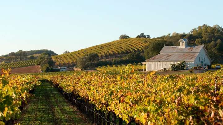 A Guide to Napa Valley, California Wine Country’s Crown Jewel
