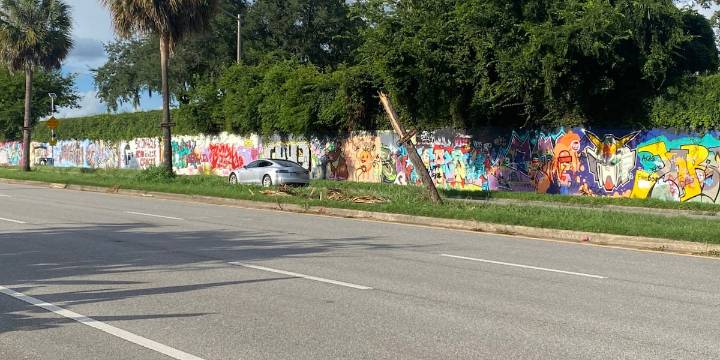 Car crashes into memorial tree honoring Gainesville student murders victims