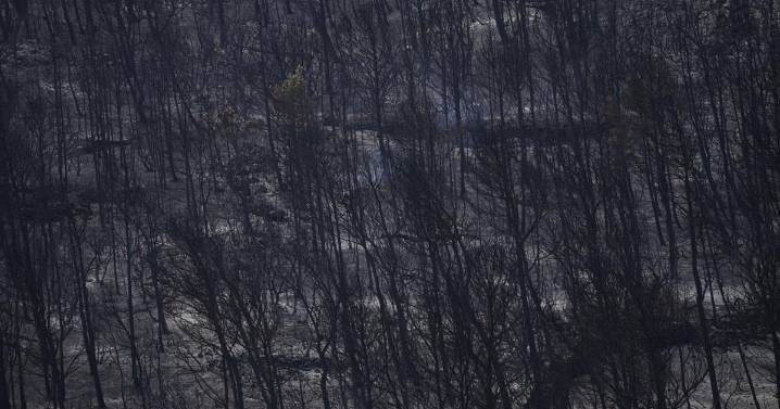 Bomberos luchan para evitar rebrotes del mayor incendio forestal en Francia