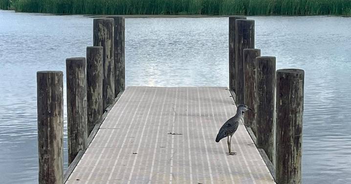 Meaher State Park gets upgrades