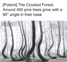 20 Creepy Real-World Facts And Pics That Are More Disturbing Than Most Horror Movies