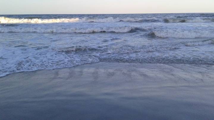 Whale dies after getting hit by boat, knocking passenger overboard in Barnegat Bay