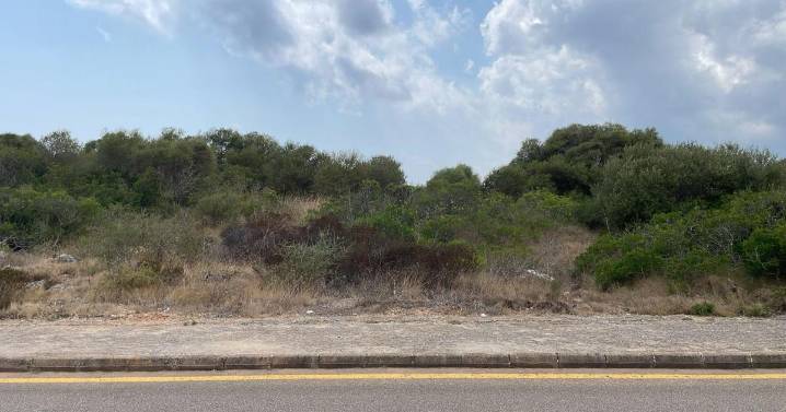Manacor aprueba la construcción de 77 casas en s’Estany d’en Mas tras 46 años de esperas