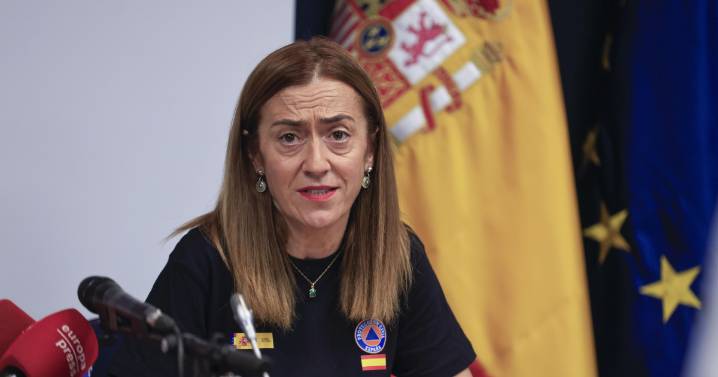 La directora de Protección Civil insinúa que Mañueco ha sobreactuado, con 150.000 hectáreas calcinadas en Castilla y León