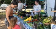 A federal program helps families eat healthy meals. Trump’s new legislation cuts it.