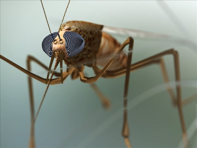 Cass County Vector Control Plans Aerial Mosquito Spraying