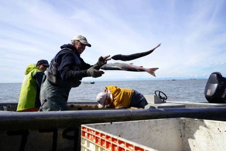 ‘Be safe, catch fish, have fun’