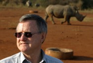 South Africa accuses 6 of massive rhino horn trafficking scheme