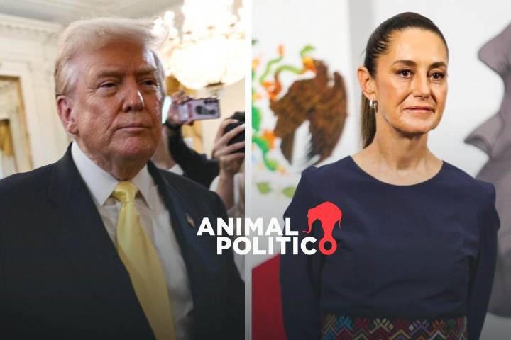 Trump firma orden para que militares ataquen a cárteles; Sheinbaum le responde