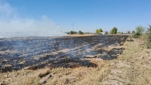 Leales: ardieron tres hectáreas de restos de caña en finca San Jorge