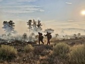 Crews make progress on Flat fire near Sisters, battle other large blazes across Oregon