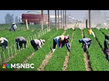 Florida Farmers To Trump: 'This Is Going To End Us'