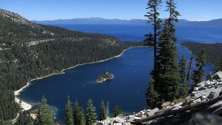 Bears turn on stove, nearly start house fire in Lake Tahoe: CDFW