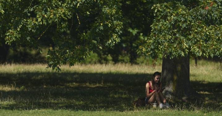 Ola de calor azota partes de Europa y aumenta el riesgo de incendios en Francia