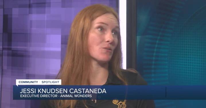 Community Spotlight: Animal Wonders