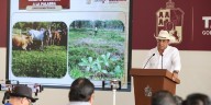 Tabasco, referente nacional en inversión ganadera: Alejandro Ligonio; nacen primeros becerros de programa Crédito Ganadero a la Palabra